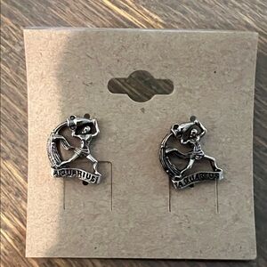 Aquarius Zodiac Silver Earrings